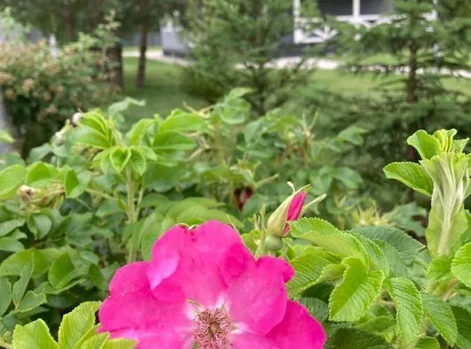 ヴィラ Nalesie Dudowizna